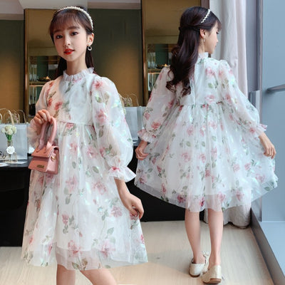 Girls'' spring Princess Dress