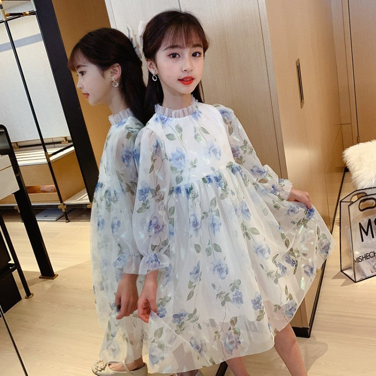 Girls'' spring Princess Dress