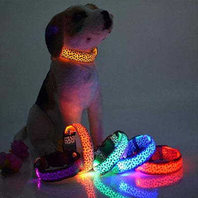 LED Dog Collar Safety Adjustable Nylon Leopard Pet Collar